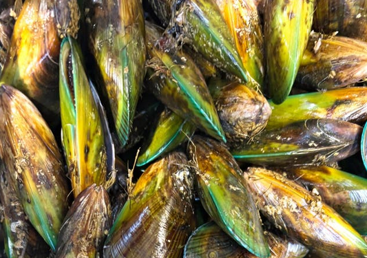 NZ Green-lipped mussels